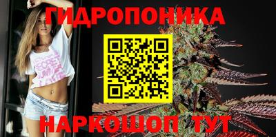 прущие грибы Жуковский