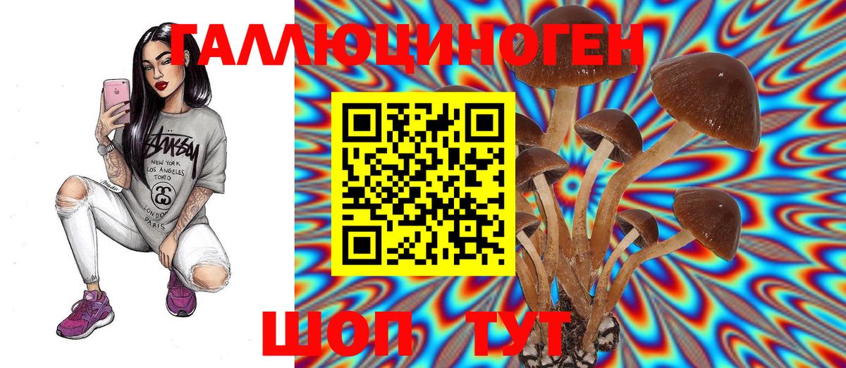 Галлюциногенные грибы GOLDEN TEACHER Шелехов